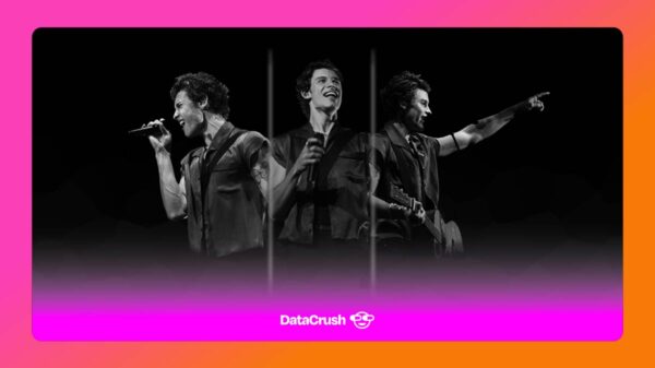 artista argentina Shawn Mendes